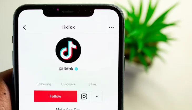 Best TikTok Courses