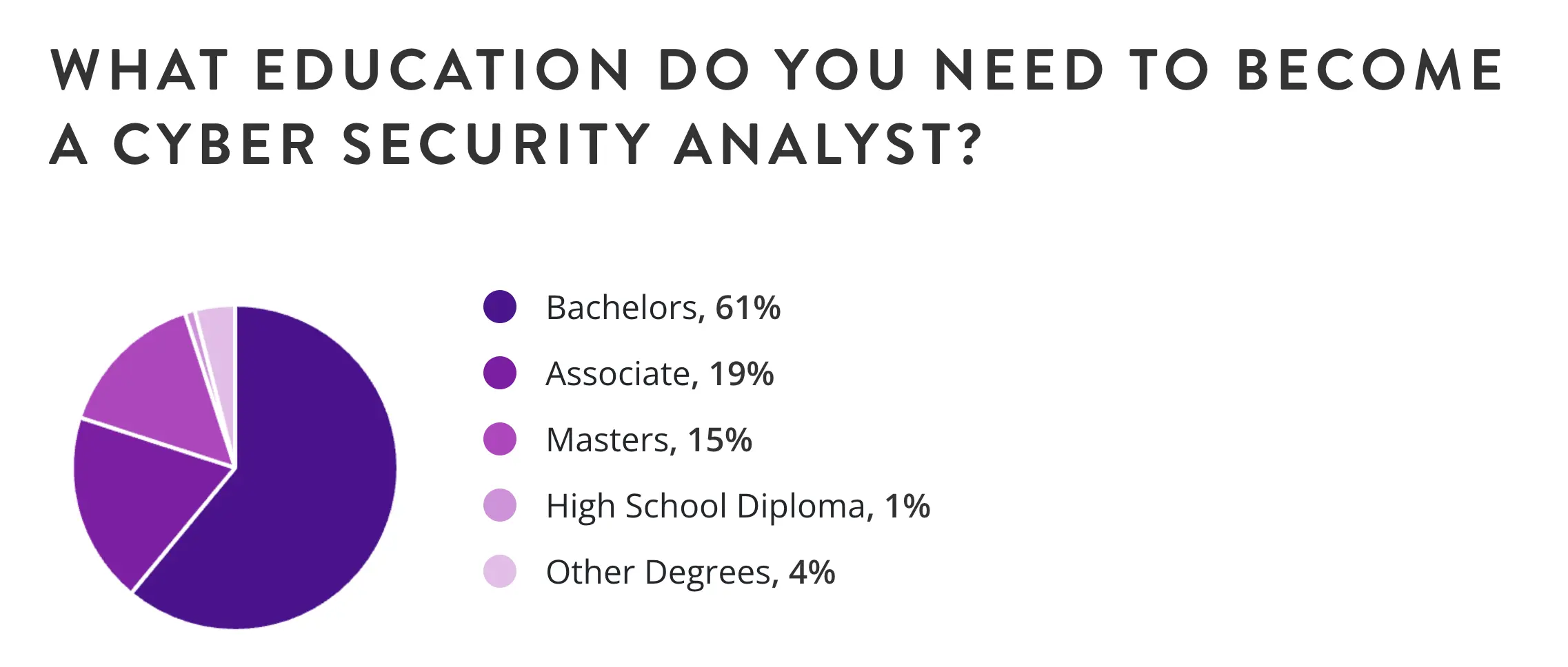 Cybersecurity Analysts Education
