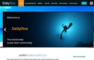 DailyDive