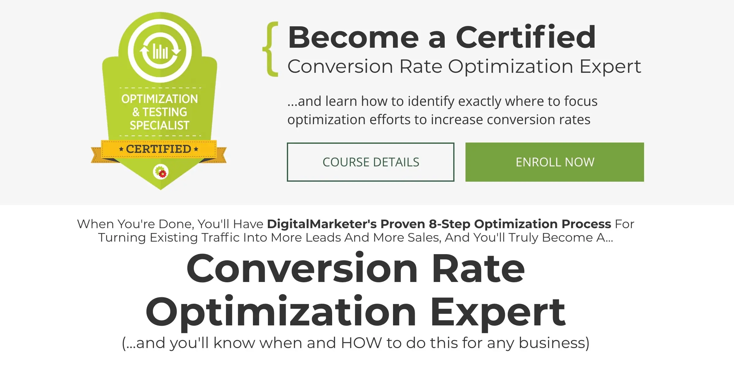 Certified Conversion Rate Optimization Specialist (Digital Marketer)
