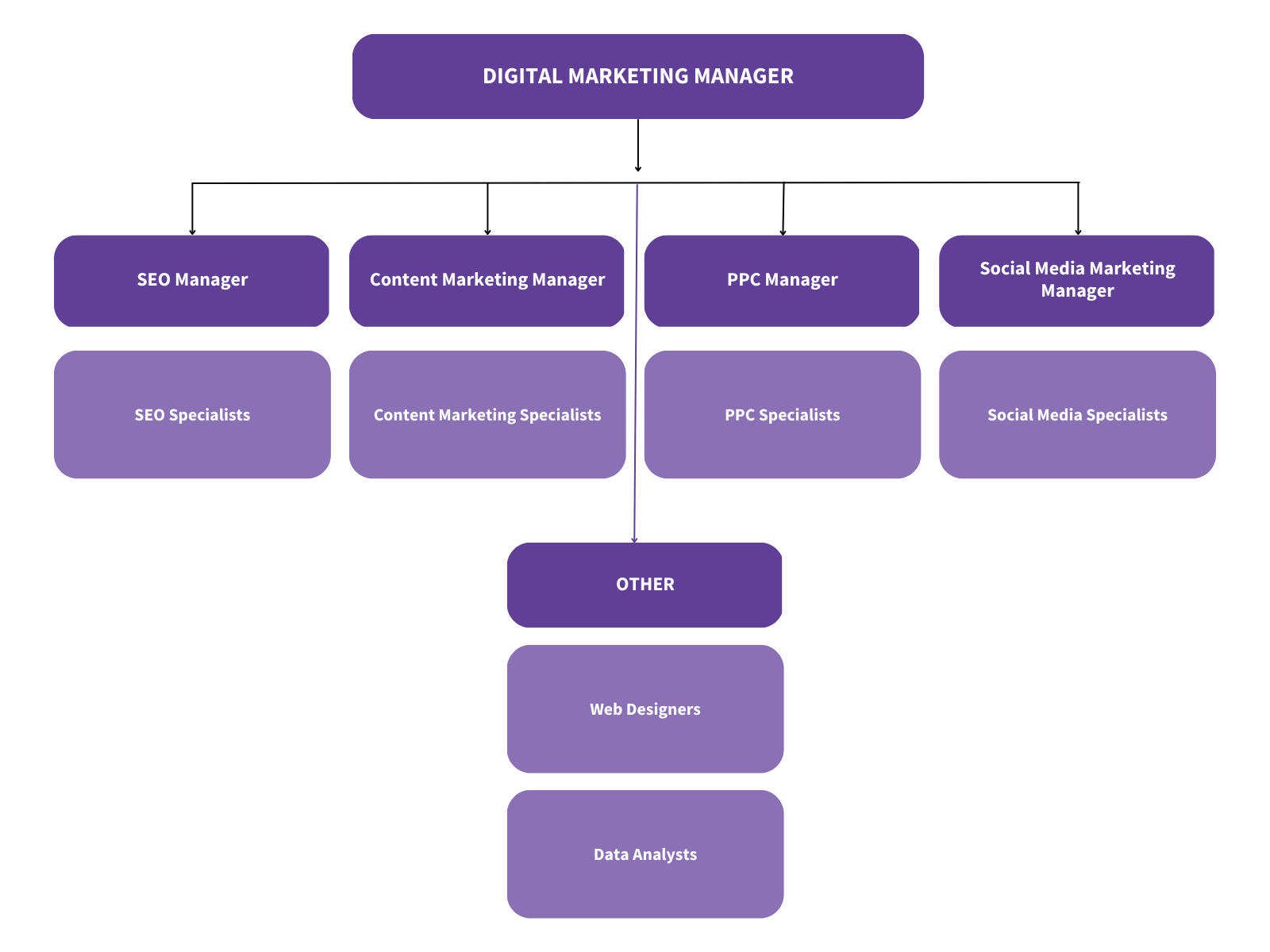 Digital Marketing Agency Team Structure