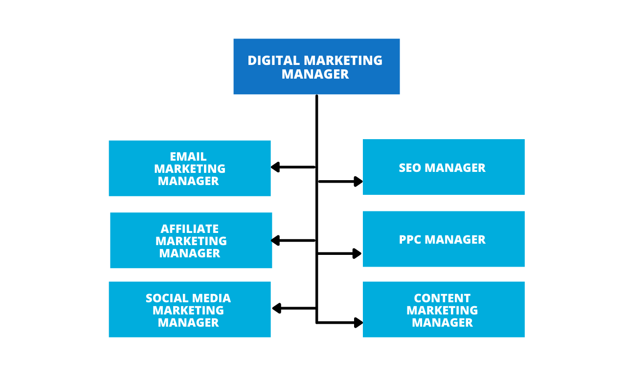 Digital Marketing Team Hierarchy
